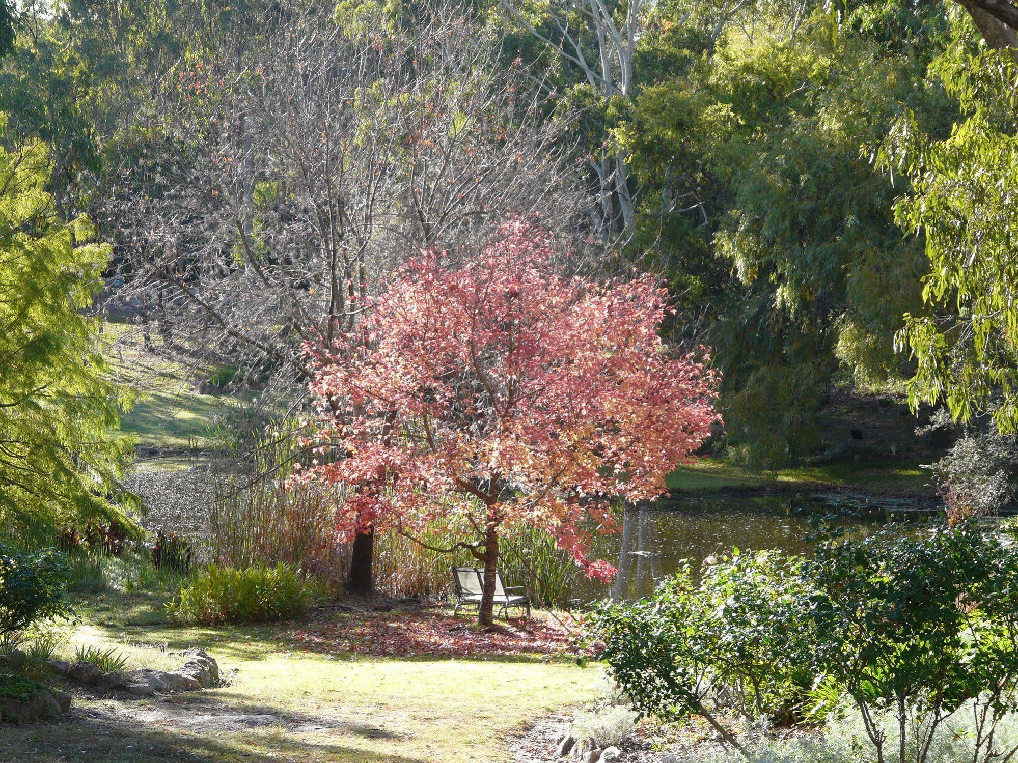 Granite Gardens Cottages & Lake Retreat Stanthorpe Exterior photo
